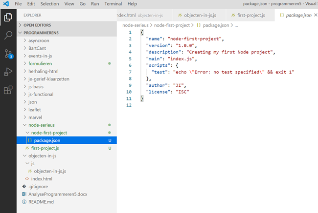 npm init package.json created